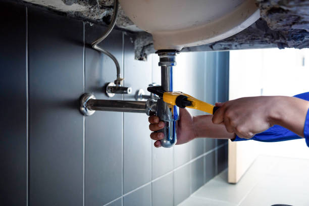 Best Water Heater Installation and Repair  in Dovesville, SC